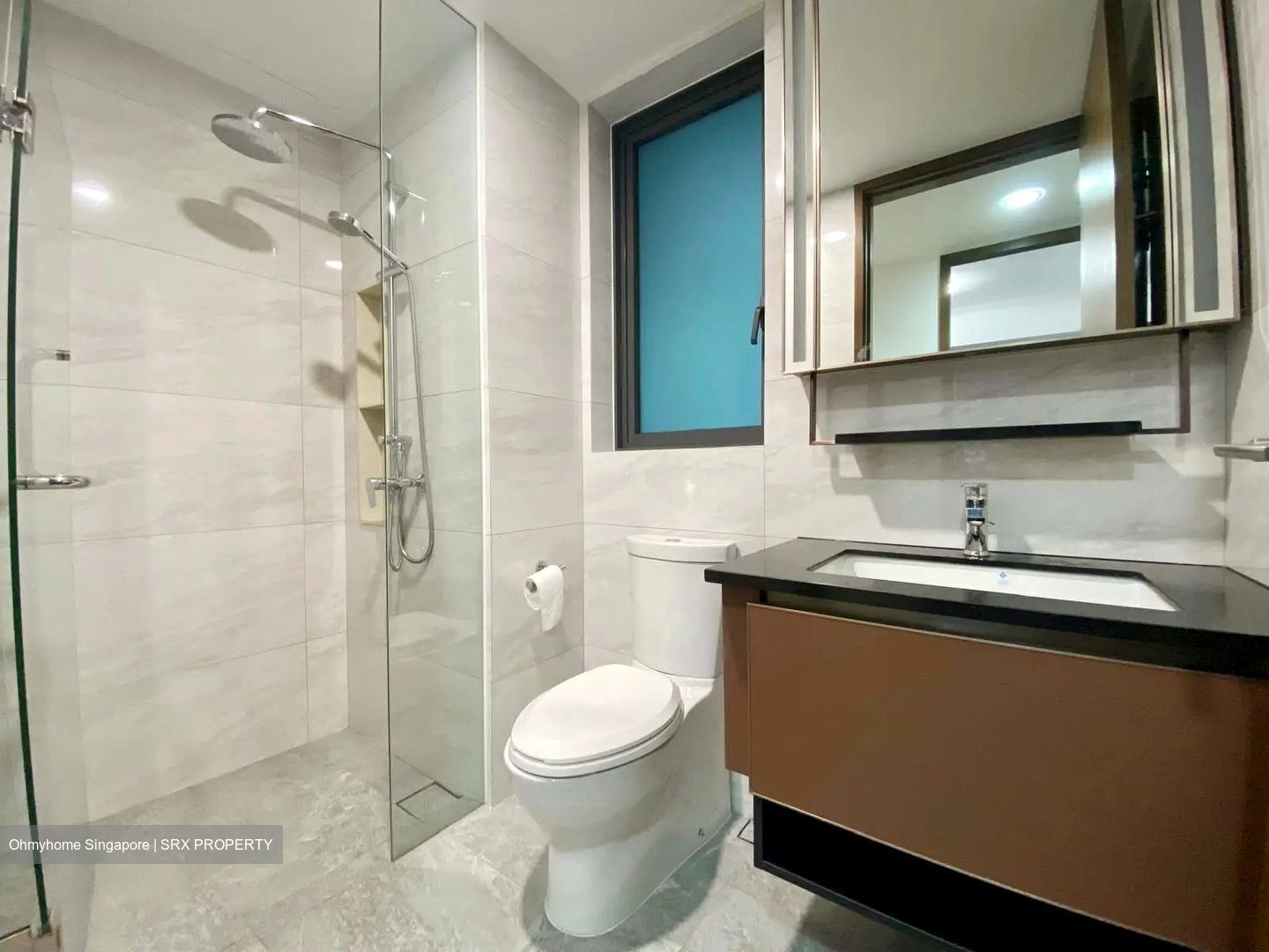 Normanton Park (D5), Apartment #577786361
